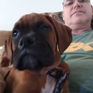 Meet your Posher, Gene